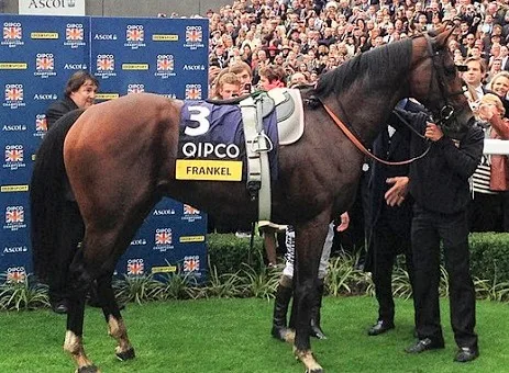 Frankel, ngựa đua vô địch trong vòng vây người chiến thắng
