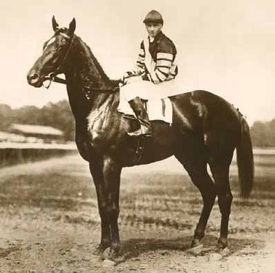 Man O War ngựa đua nổi tiếng với nài ngựa trên lưng
