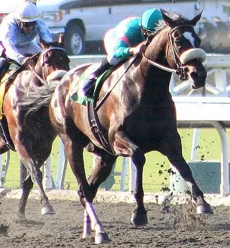 ngựa đua Zenyatta giành giải Lady's Secret Stakes năm 2009 tại Công viên Santa Anita
