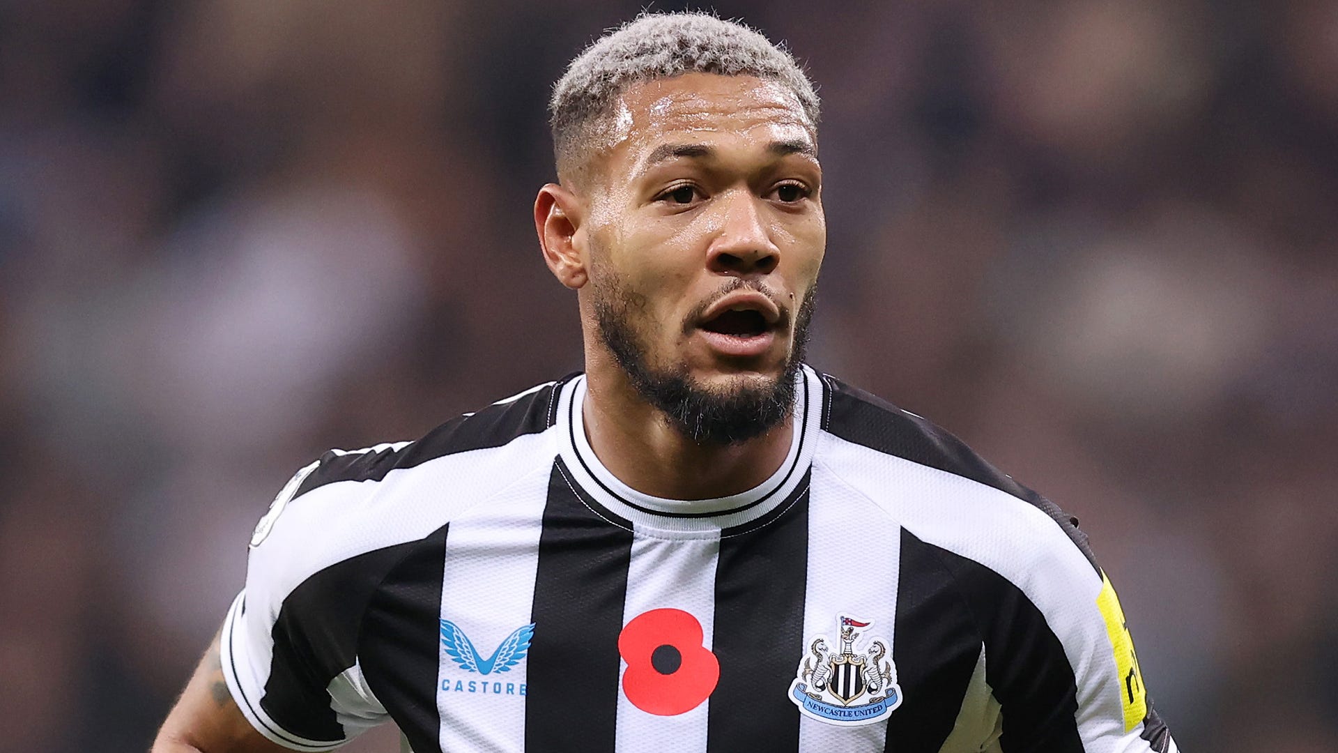 Newcastle star Joelinton fined £29,000 for drink-driving and issued 12-month driving ban | Goal.com Nigeria