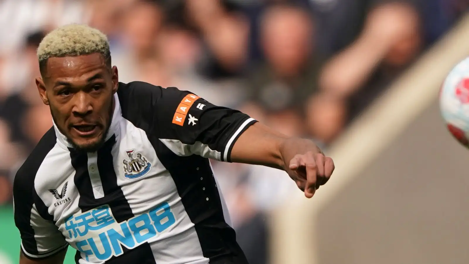 Joelinton biography and net worth 2023 - Latest Sports News Africa | Latest Sports Results