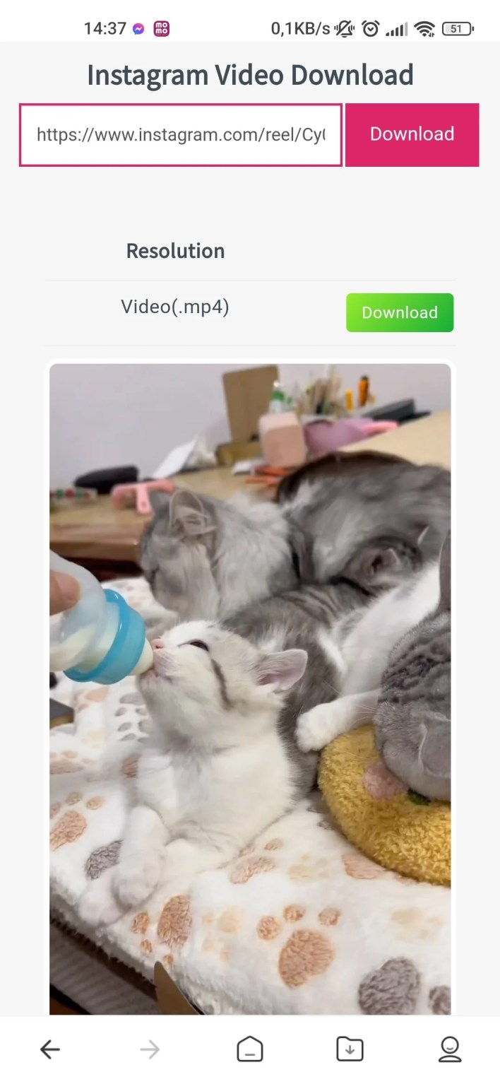Hướng dẫn người dùng tải video Instagram về thiết bị bằng Vidinsta